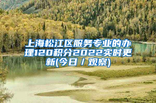 上海松江区服务专业的办理120积分2022实时更新(今日／观察)