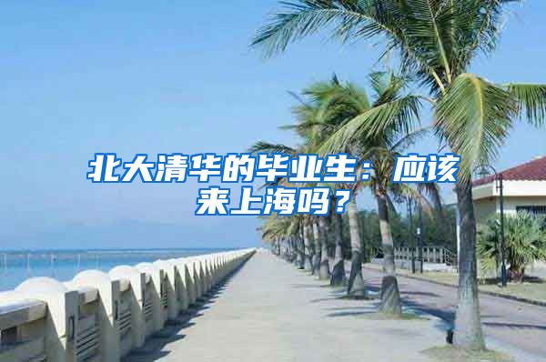 北大清华的毕业生：应该来上海吗？