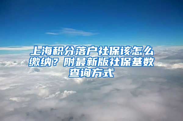 上海积分落户社保该怎么缴纳？附最新版社保基数查询方式
