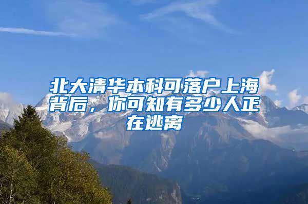 北大清华本科可落户上海背后，你可知有多少人正在逃离