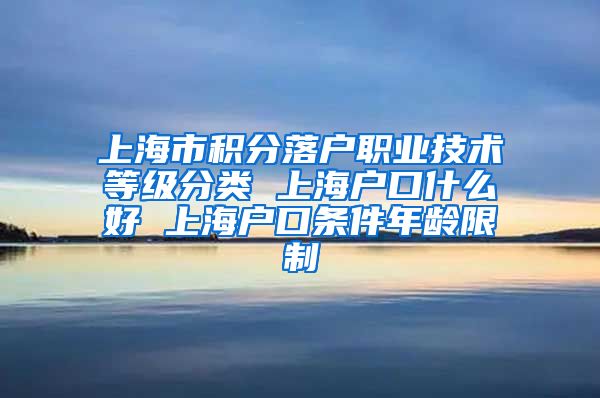 上海市积分落户职业技术等级分类 上海户口什么好 上海户口条件年龄限制