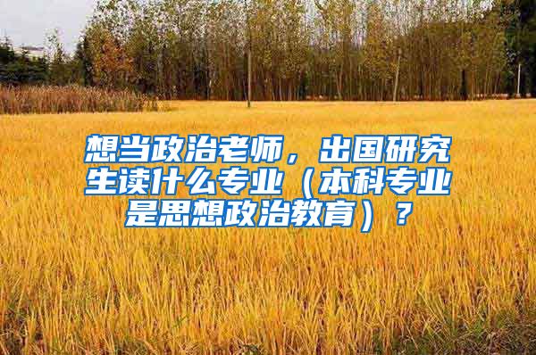 想当政治老师，出国研究生读什么专业（本科专业是思想政治教育）？