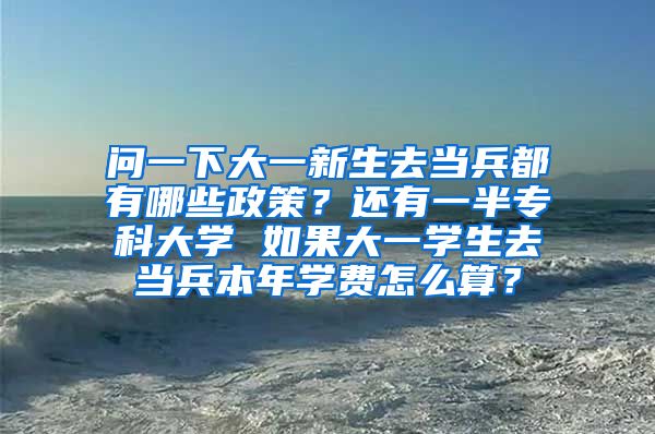 问一下大一新生去当兵都有哪些政策？还有一半专科大学 如果大一学生去当兵本年学费怎么算？