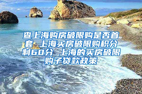 查上海购房破限购是否首套 上海买房破限购积分制60分 上海的买房破限购子贷款政策