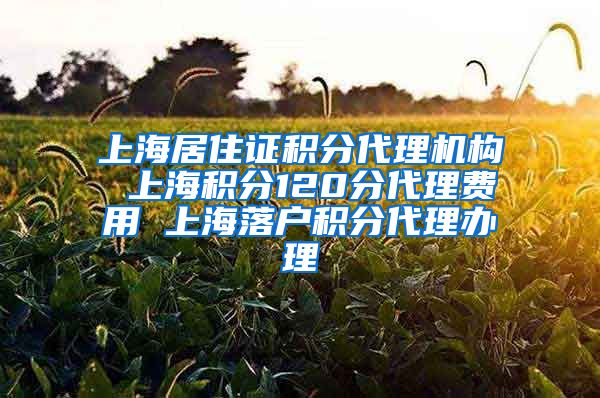上海居住证积分代理机构 上海积分120分代理费用 上海落户积分代理办理
