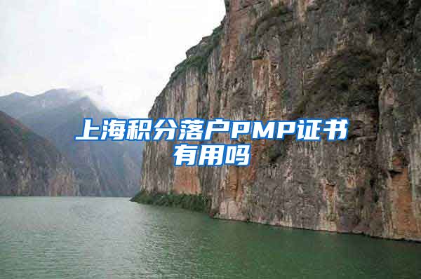 上海积分落户PMP证书有用吗