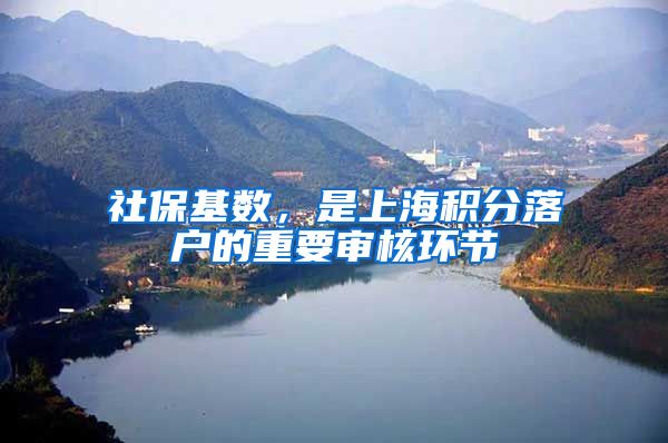 社保基数，是上海积分落户的重要审核环节