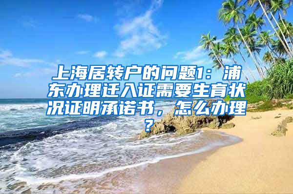 上海居转户的问题1：浦东办理迁入证需要生育状况证明承诺书，怎么办理？