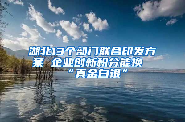 湖北13个部门联合印发方案 企业创新积分能换“真金白银”