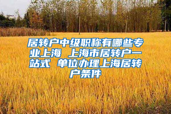 居转户中级职称有哪些专业上海 上海市居转户一站式 单位办理上海居转户条件