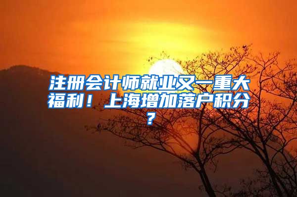 注册会计师就业又一重大福利！上海增加落户积分？