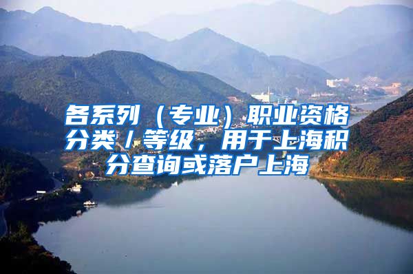 各系列（专业）职业资格分类／等级，用于上海积分查询或落户上海