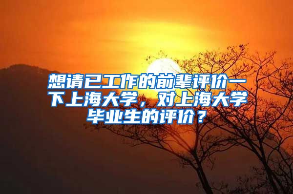 想请已工作的前辈评价一下上海大学，对上海大学毕业生的评价？