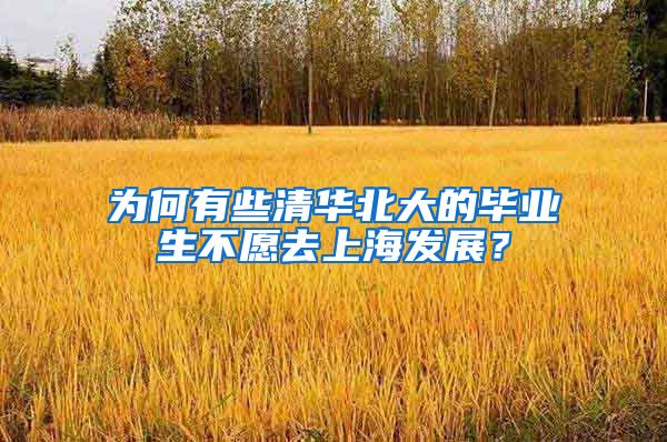 为何有些清华北大的毕业生不愿去上海发展？
