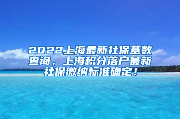 2022上海最新社保基数查询，上海积分落户最新社保缴纳标准确定！