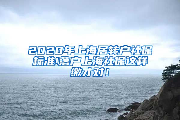 2020年上海居转户社保标准!落户上海社保这样缴才对！