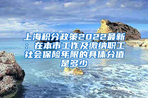 上海积分政策2022最新：在本市工作及缴纳职工社会保险年限的具体分值是多少