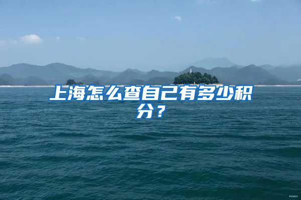 上海怎么查自己有多少积分？