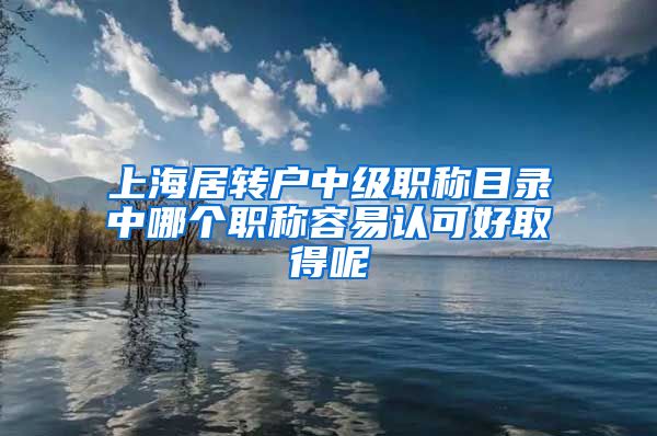 上海居转户中级职称目录中哪个职称容易认可好取得呢