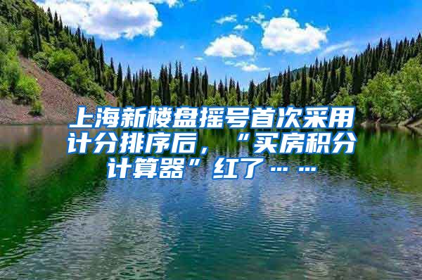 上海新楼盘摇号首次采用计分排序后，“买房积分计算器”红了……