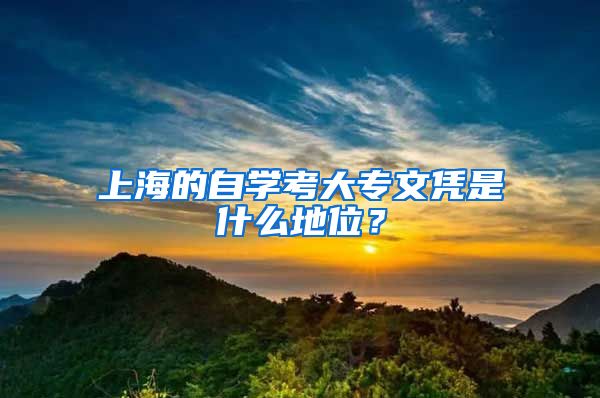 上海的自学考大专文凭是什么地位？