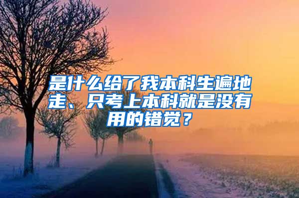 是什么给了我本科生遍地走、只考上本科就是没有用的错觉？