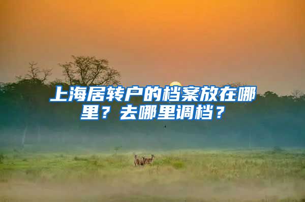 上海居转户的档案放在哪里？去哪里调档？