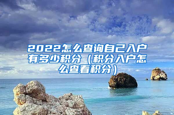 2022怎么查询自己入户有多少积分（积分入户怎么查看积分）