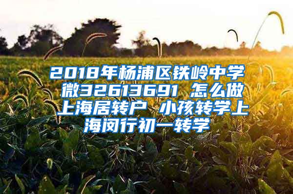 2018年杨浦区铁岭中学 微32613691 怎么做 上海居转户 小孩转学上海闵行初一转学