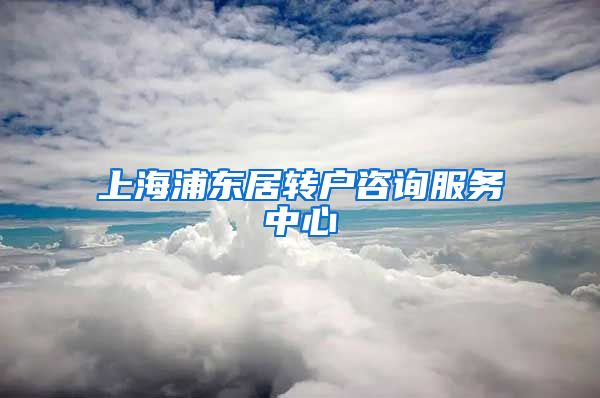 上海浦东居转户咨询服务中心