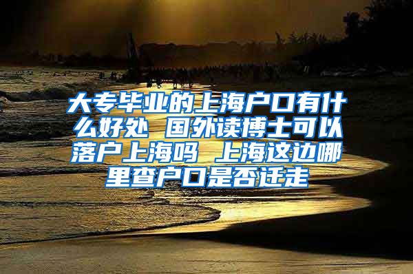 大专毕业的上海户口有什么好处 国外读博士可以落户上海吗 上海这边哪里查户口是否迁走