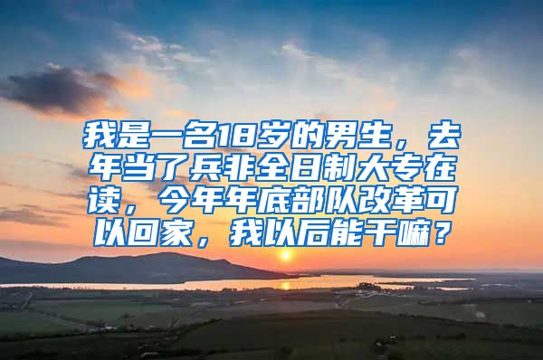 我是一名18岁的男生，去年当了兵非全日制大专在读，今年年底部队改革可以回家，我以后能干嘛？