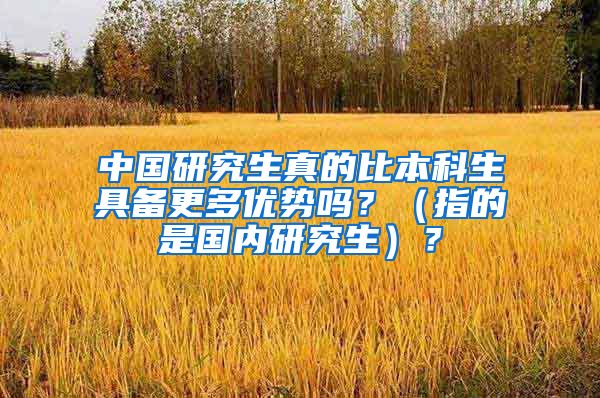 中国研究生真的比本科生具备更多优势吗？（指的是国内研究生）？