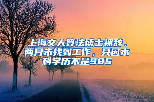 上海交大算法博士裸辞，两月未找到工作，只因本科学历不是985
