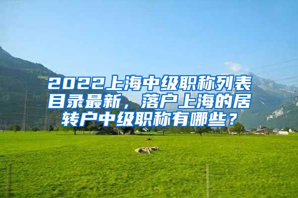 2022上海中级职称列表目录最新，落户上海的居转户中级职称有哪些？