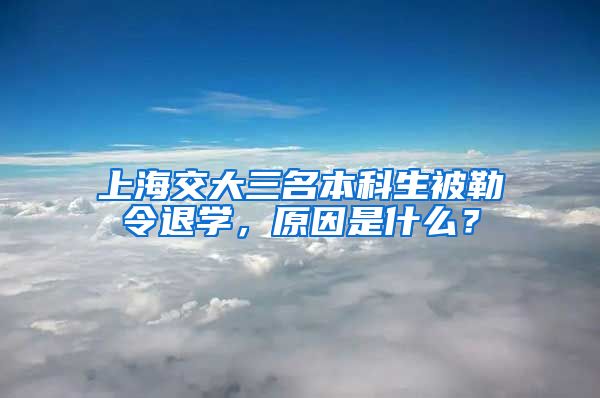 上海交大三名本科生被勒令退学，原因是什么？