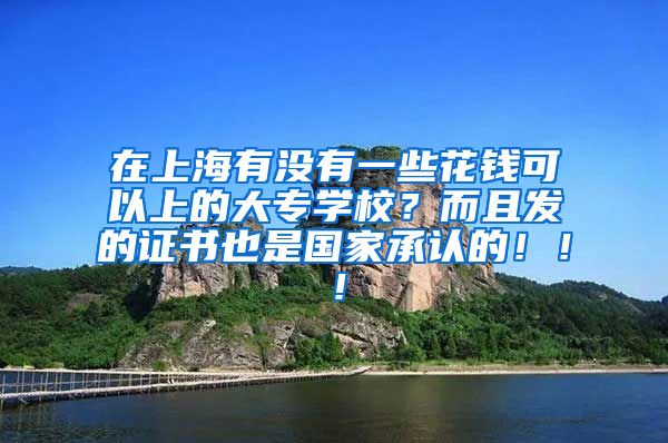 在上海有没有一些花钱可以上的大专学校？而且发的证书也是国家承认的！！！