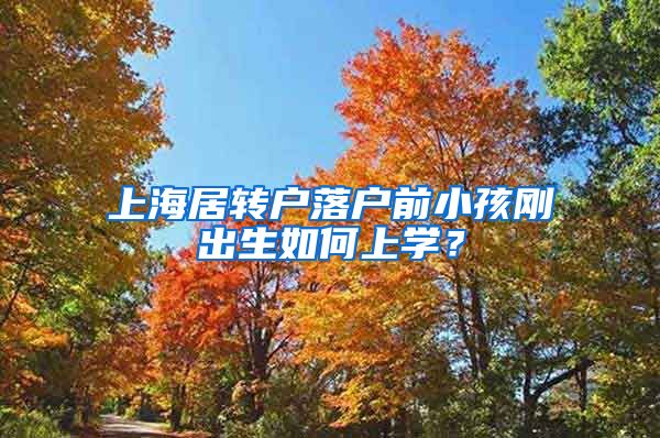 上海居转户落户前小孩刚出生如何上学？