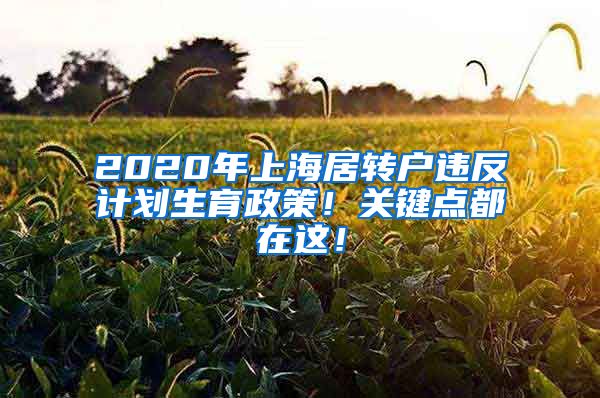 2020年上海居转户违反计划生育政策！关键点都在这！