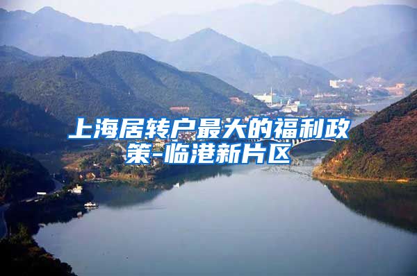 上海居转户最大的福利政策-临港新片区
