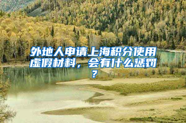 外地人申请上海积分使用虚假材料，会有什么惩罚？