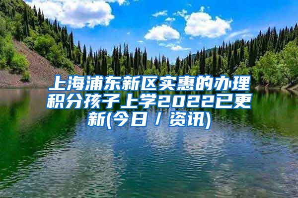 上海浦东新区实惠的办理积分孩子上学2022已更新(今日／资讯)