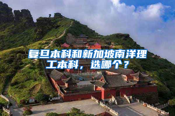 复旦本科和新加坡南洋理工本科，选哪个？