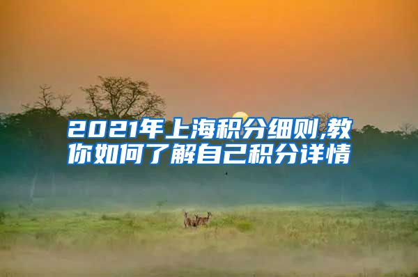 2021年上海积分细则,教你如何了解自己积分详情