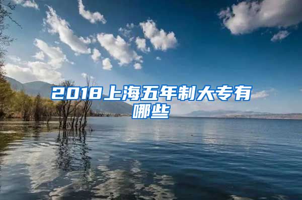 2018上海五年制大专有哪些