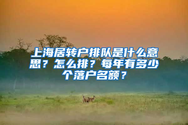 上海居转户排队是什么意思？怎么排？每年有多少个落户名额？