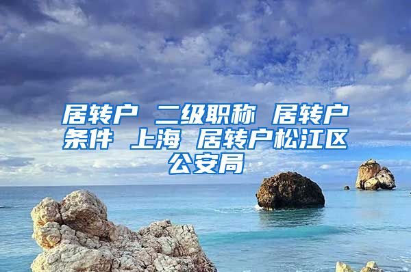 居转户 二级职称 居转户条件 上海 居转户松江区公安局