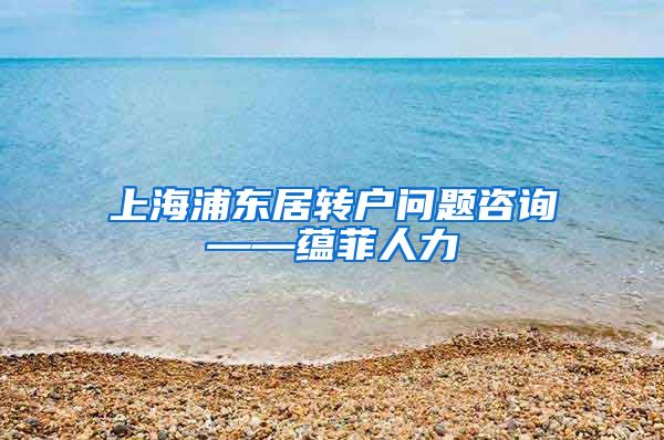 上海浦东居转户问题咨询——蕴菲人力