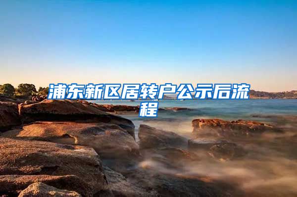 浦东新区居转户公示后流程