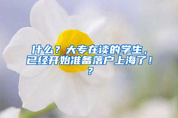 什么？大专在读的学生，已经开始准备落户上海了！？